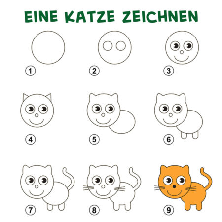 Lieblingstiere selber zeichnen!: Katze, Hund & Co: einfach nach Foto;  Schritt für Schritt: Katze, Hund & Co: Schritt für Schritt in Farbe und  Schwarz-Weiß: Amazon.de: Türk, Hanne: Bücher