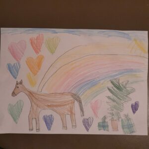 Ich wünsche mir zu Weihnachten ein Pferd