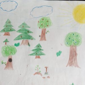 Ein neuer Baum