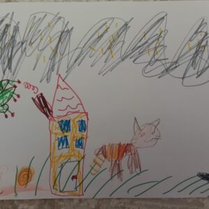 Anisa, Pllana