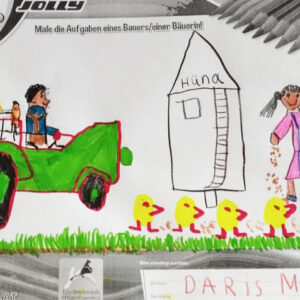 Daris Mehic