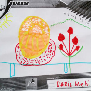 Daris Mehic